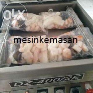 mesin vakum dz400 2E isi